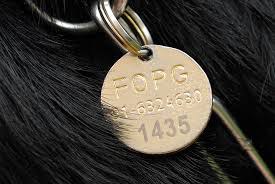 Medalla de perro guía de la FOPG