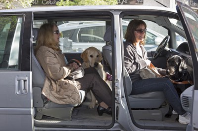 Dos perros guía con sus usuarias en el interior de un vehículo