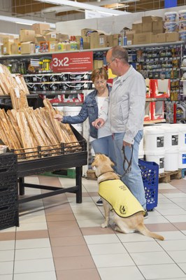 Una familia educadora compra en elsupermercado acompañada de su cachorro