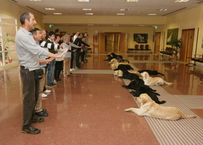 Un instructor enseña a un grupo de alumnos la orden QUIETO, para que el perro permanezca echado
