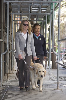 Una instructora supervisa a una usuaria de perro guía pasando bajo un andamio